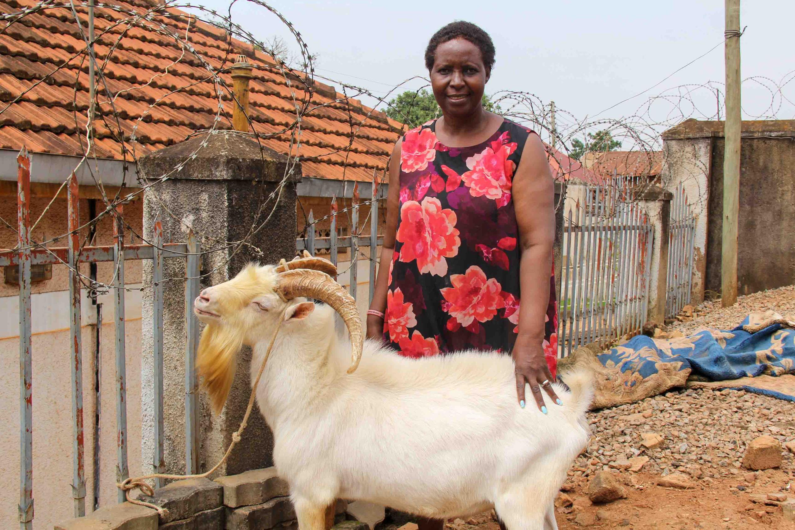 whatsapp image 2026 01 09 at 07.44.06