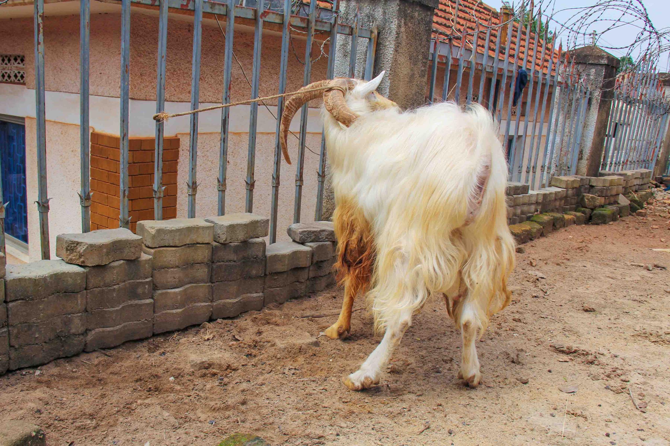 whatsapp image 2026 02 01 at 18.13.24 (1)