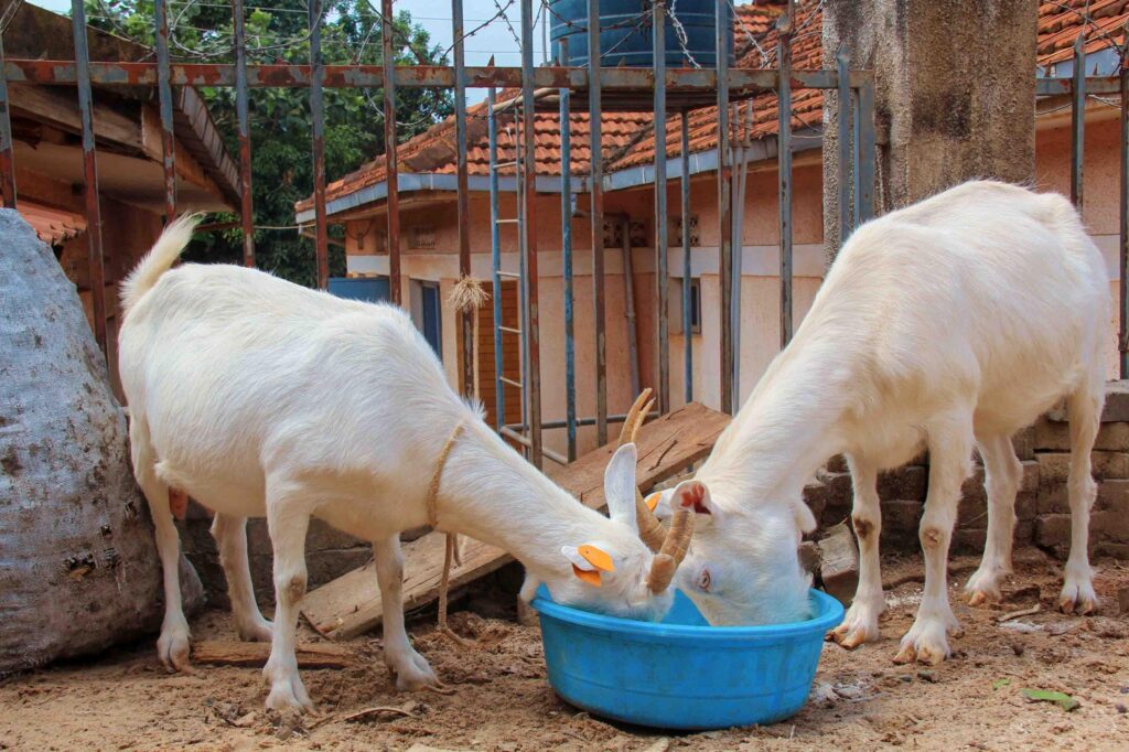 whatsapp image 2026 02 01 at 18.13.24 (2)